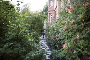 Coaching Ausbildung IHK Frankfurt